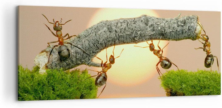 Wandbilder Dekoration Wohnzimmer Tiere Ameisen Brücke Natur Panorama Bilder auf Leinwand 120x50cm Le