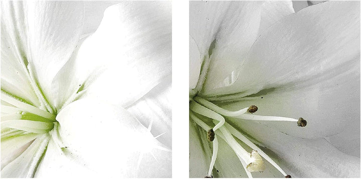 Runa Art Wandbilder Blumen Lilien Bild XXL Wohnzimmer Schlafzimmer Grau Grün Abstrakt 120 x 80 cm 3