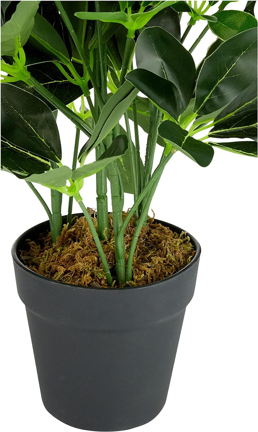 Leaf Künstlicher Schefflera Arboricola Regenschirm, 55 cm, schwarzer Kunststoff-Topf, dunkelgrüne Pf