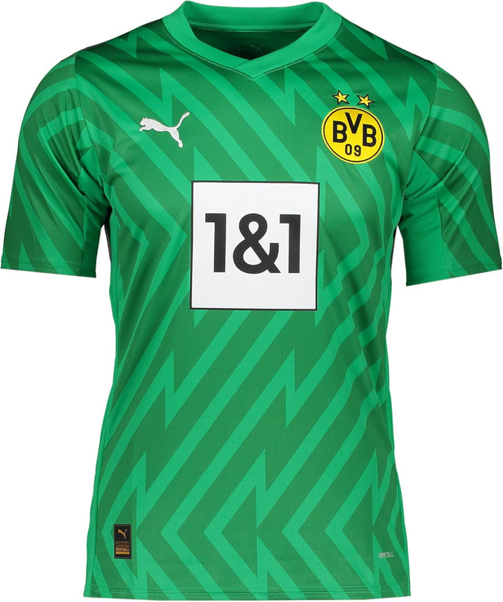 BVB BORUSSIA DORTMUND Trikot Torwart Herren orange 2024 M Grün, M Grün
