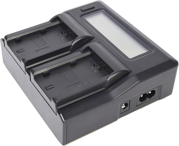 DSTE® 2 Pack Ersatz Batterie NP-W235 + LCD Dual Ladegerät Compatible für Fuji XT4 Digital Kamera