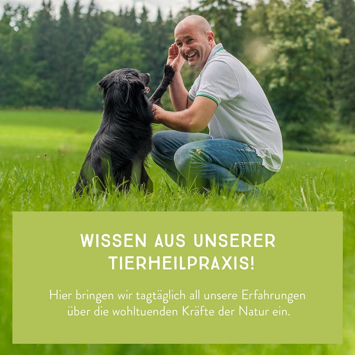 naftie Kausnacks Hühnerhälse getrocknet - für artige Hunde - Vitamine Proteine Calcium - Kauartikel