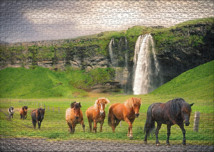 Ulmer Puzzleschmiede - Puzzle „Isländer“ - Klassisches 1000 Teile Puzzle Pferde &amp; Landschaft - Herde