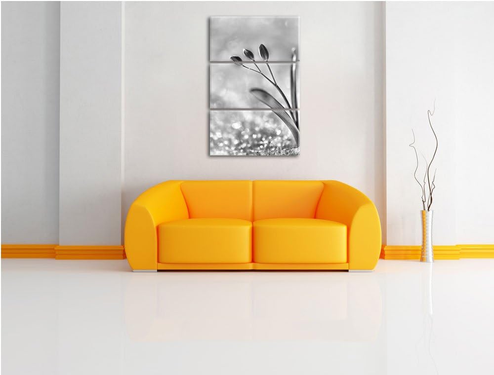 Pixxprint Monocrome, Blaue Knospen im Schnee 3-Teiler Leinwandbild 120x80 Bild auf Leinwand