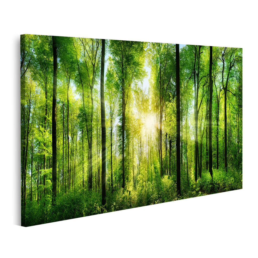 islandburner Bild auf Leinwand Malerischer Wald Grüne Laubbäume Bilder Wandbilder Poster Leinwand 10