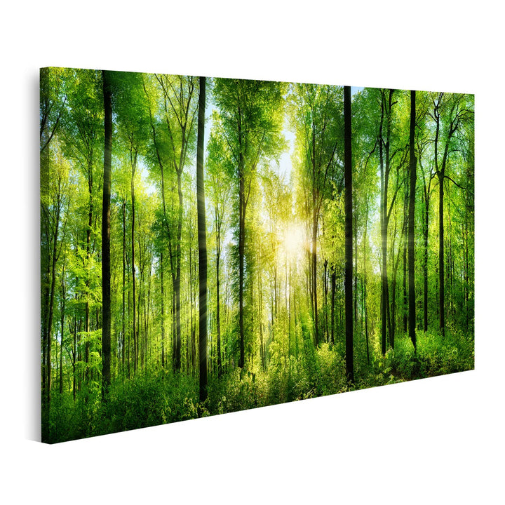 islandburner Bild auf Leinwand Malerischer Wald Grüne Laubbäume Bilder Wandbilder Poster Leinwand 10