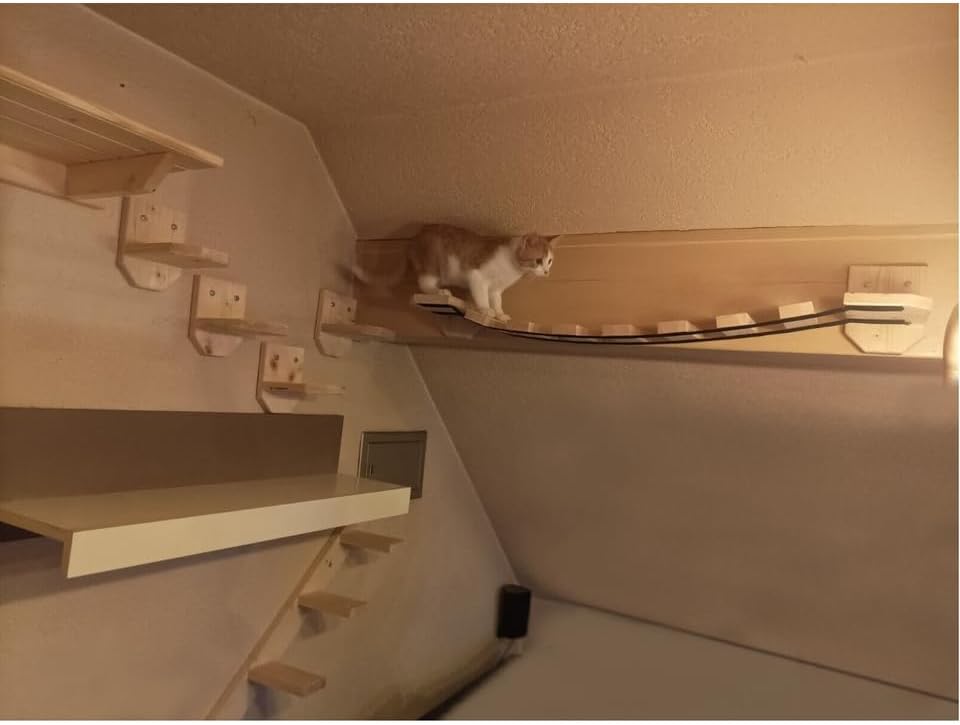 Katzenliege Kletterwand Wandmontage Katzenmöbel Klettern Katzenwand Katzentreppe Katzenstufen Set ge