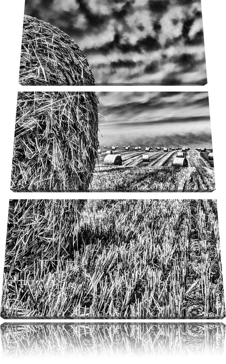 Pixxprint Monocrome, Feld im Sonnenuntergang 3-Teiler Leinwandbild 120x80 Bild auf Leinwand