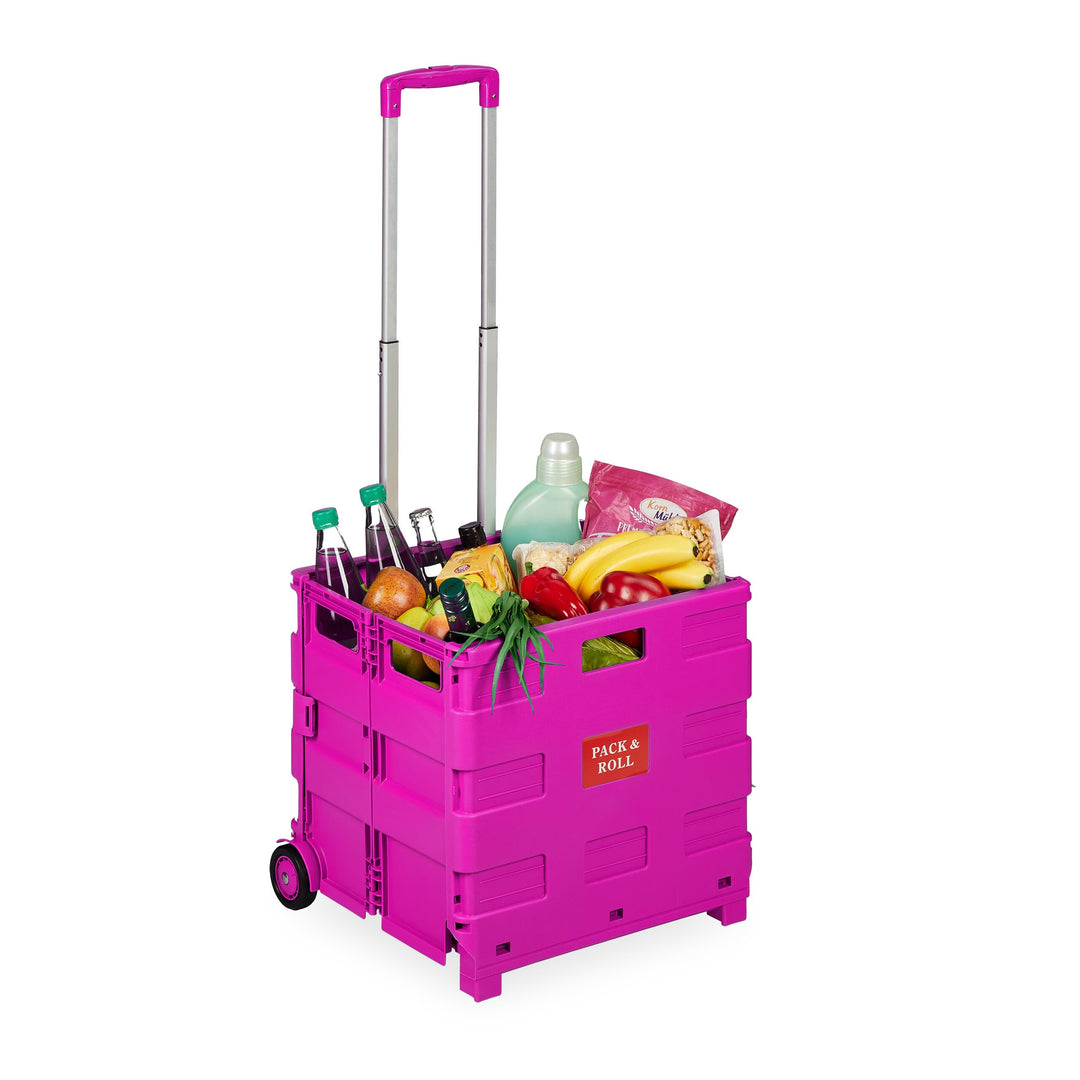 Relaxdays Einkaufstrolley, Klapptrolley mit Rollen & Teleskopgriff, bis 35 kg, Faltbare Einkaufshilf