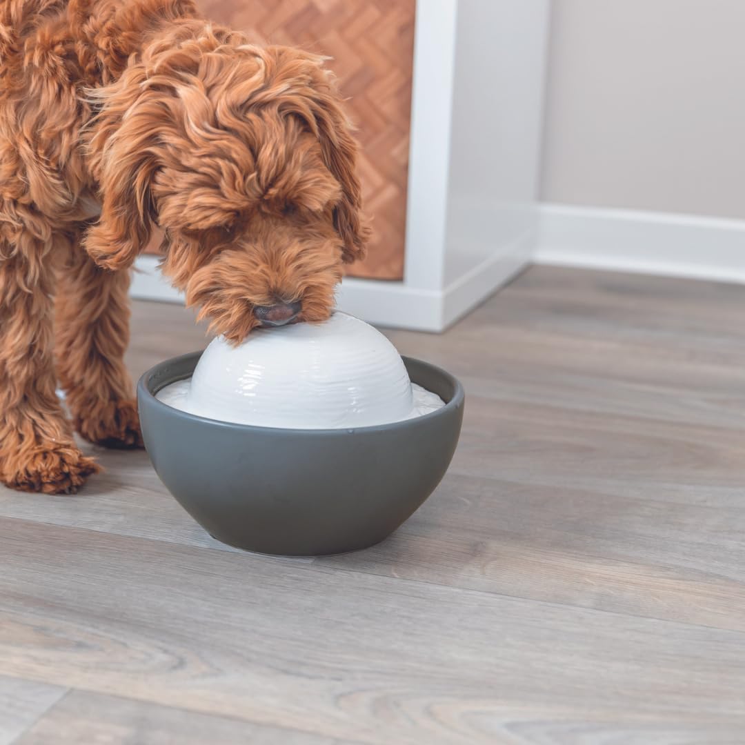 TRIXIE Trinkbrunnen Vital Dome für Hunde - moderner Wasserspender für Hunde in grau/weiss – für saue