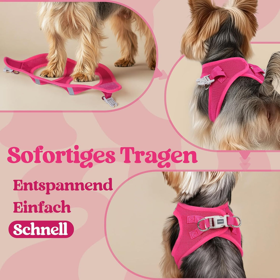 rabbitgoo Hundegeschirr Kleine Hunde, Step-in Welpengeschirr Weich Mesh für Spaziergänge, Atmungsakt