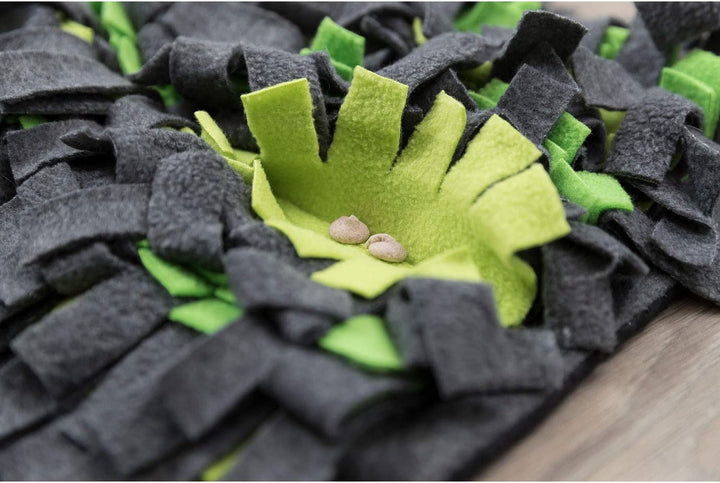 TRIXIE 62818 Schnüffelteppich, 27 × 20 cm, grau/grün