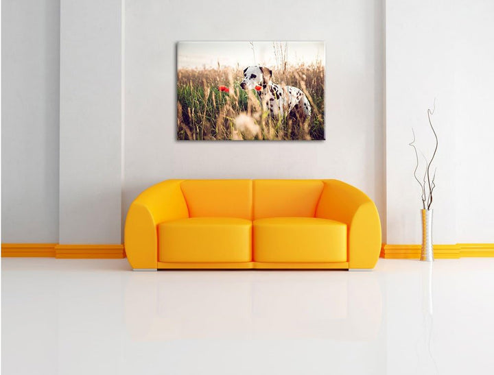 Neugieriger Hund im Feld, Format: 100x70 auf Leinwand, XXL riesige Bilder fertig gerahmt mit Keilrah