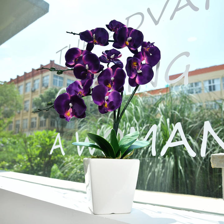 YSZL Phalaenopsis Orchidee, 38,1 cm, gross, Dunkelviolett, Dunkelviolett