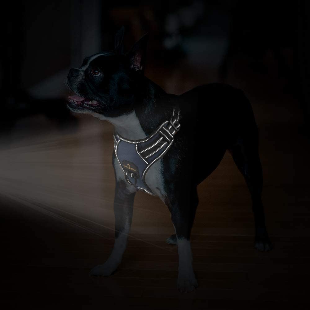 MASBRILL Hundegeschirr Einstellbare Anti Zug Sicherheitsgeschirre Reflektierend Brustgeschirre Weich
