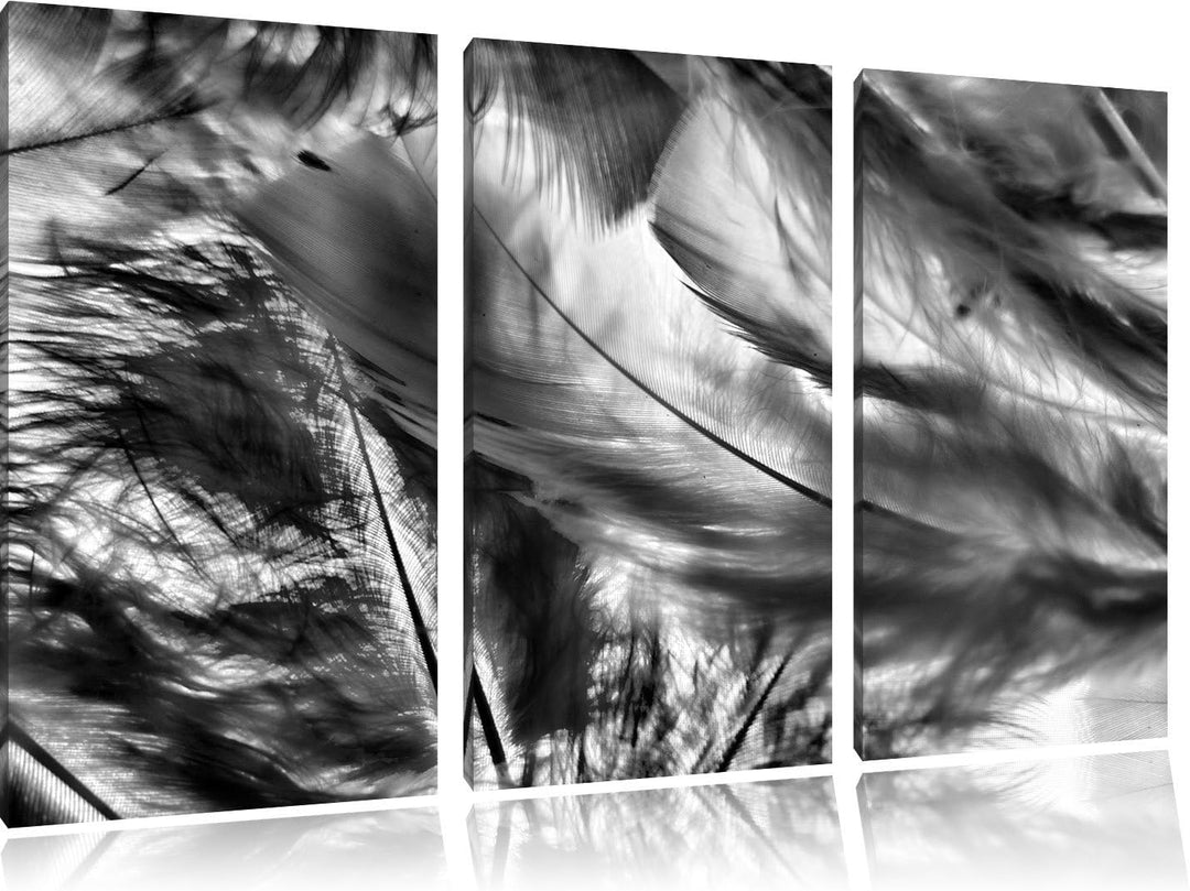 Pixxprint Bunte Federn als Leinwandbild - Grösse: 3-Teilig (120x80cm) - Wandbild - Kunstdruck - fert