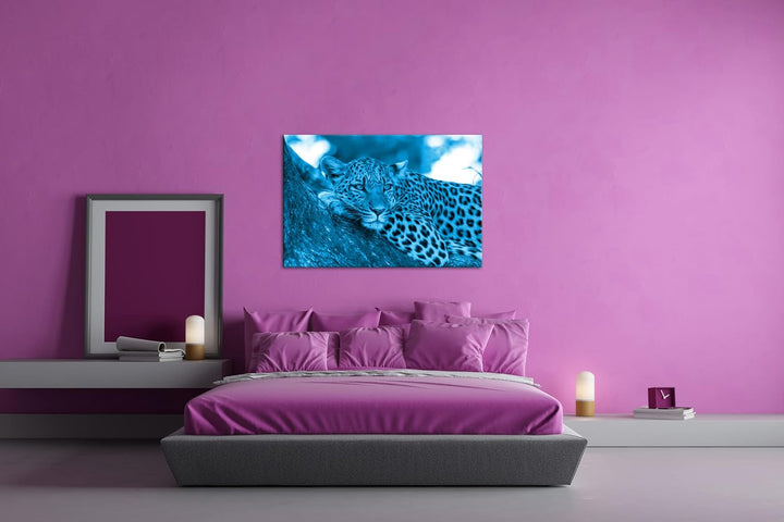 deyoli liegender Leopard Format 80x60 Effekt: Monocrome Blau als Leinwandbild, Motiv fertig gerahmt