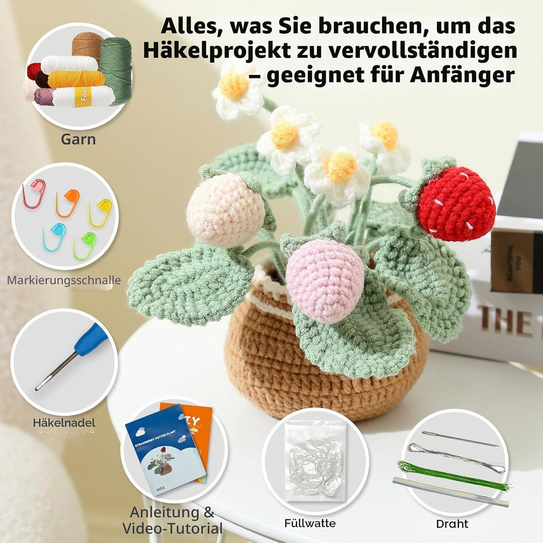 Ktmeor Häkel-Set für Anfänger, Häkel-Set für Absolute Neulinge mit Schritt-für-Schritt-Videoanleitun