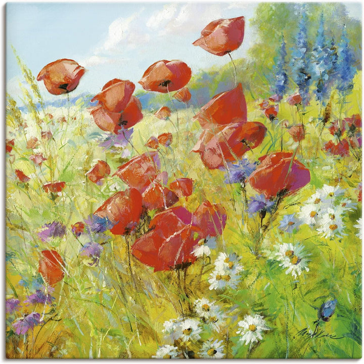 ARTland Leinwandbilder Wandbild Bild auf Leinwand 70 x 70 cm Botanik Blumenwiese Mohnblume Malerei B