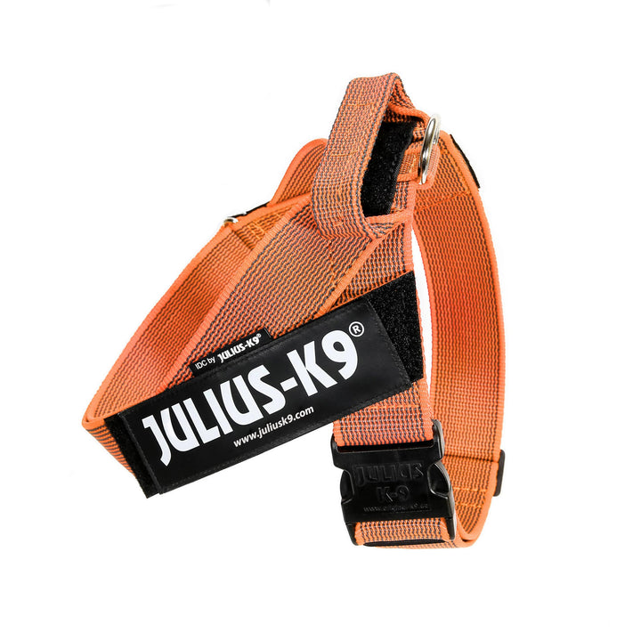 Julius-K9, Color & Gray, Beltgeschirr 2XL / 3 orange-grau, 2XL / 3 orange-grau
