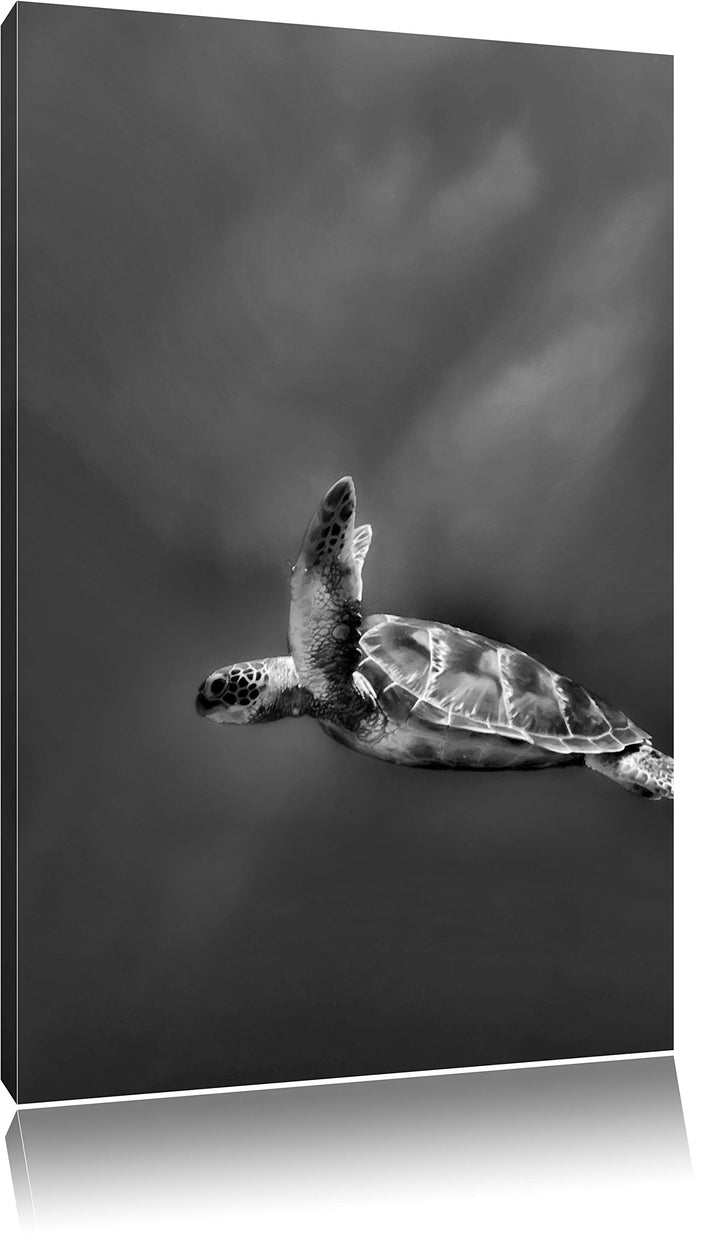 Pixxprint Schildkröte im Meer als Leinwandbild/Grösse: 100x70 cm/Wandbild/Kunstdruck/fertig bespannt