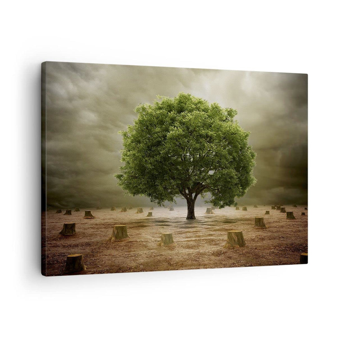 Bilder auf Leinwand Baum Feld Umwelt Leinwandbild mit Rahmen 70x50cm Wandbilder Dekoration Wohnzimme