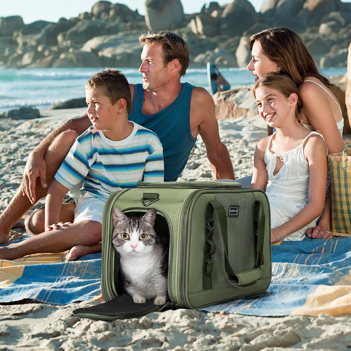 Petsfit Transportbox Katze Flugzeug Transporttasche Katze Hund mit Decke Hundetasche stabil & atmung