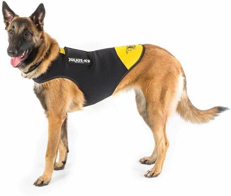 Julius-K9, IDC Neoprene Hundekleidung, Size: XL, Schwarz und Gelb XL Schwarz und Gelb, XL Schwarz un