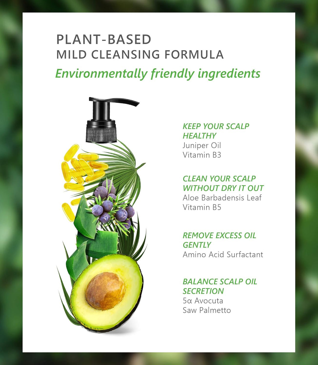 AROMASE Anti-Oil Essential Shampoo - Effektiv bei schnell fettendem Haar & fettiger Kopfhaut, reguli