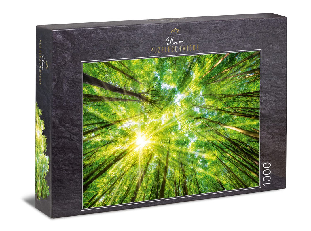 Ulmer Puzzleschmiede - Puzzle „Licht und Schatten“ - Stimmungsvolles Wald-Puzzle mit 1000 Teilen - D