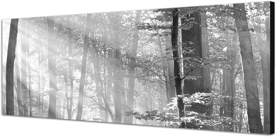 Paul Sinus Art Leinwandfoto als Panorama SCHWARZ/Weiss 120x40cm Bäume Wald Sonnenstrahlen Herbst