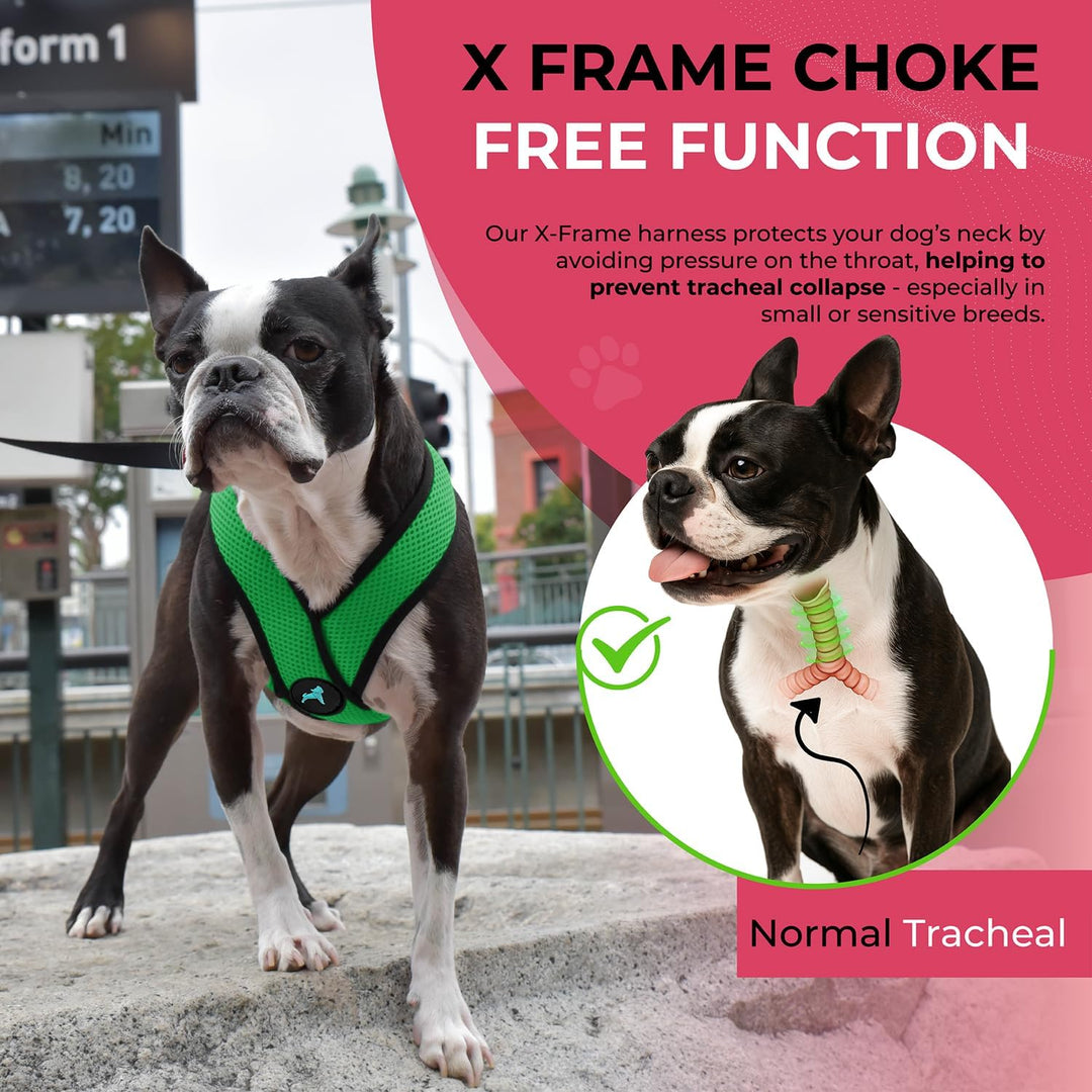 Gooby Comfort X Head in Harness,No Pull Small Dog Harness Patentierter Würgefreier X Rahmen,Unterweg