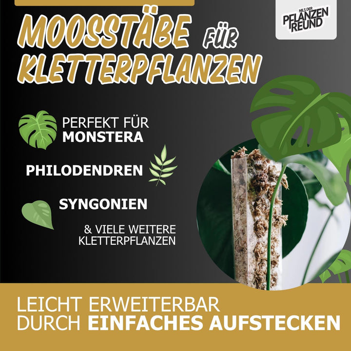 Nils der Pflanzenfreund® Moosstab [PlantScraper] 35 cm (M) / 3 Stück/Matt | Pflanzenstab | Moss Pole