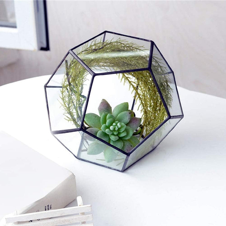 Geometrische Dekorative Terrarium Cube Geneigte Klarglas Pflanzer Tischplatte Schwarz Kleine Air Pla