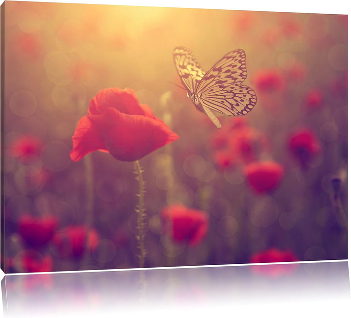 Mohn und Schmetterling, Format: 100x70 auf Leinwand, XXL riesige Bilder fertig gerahmt mit Keilrahme