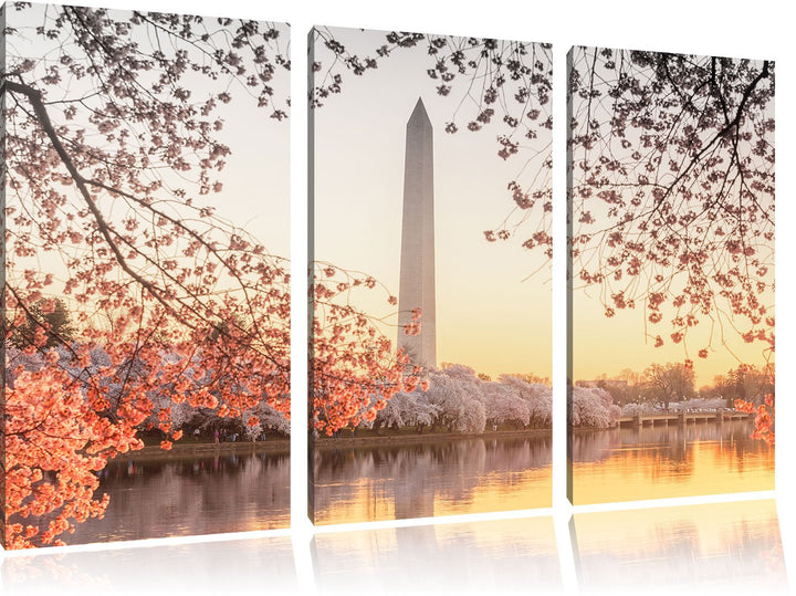 Pixxprint Jefferson Memorial als Leinwandbild/Grösse: 3 Teilig (120x80 cm) cm/Wandbild/Kunstdruck/fe