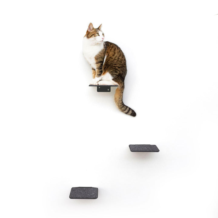 LucyBalu® STEPS Katzentreppe Wand Innen & Aussen 3er Set | Katzen Kletterwand | Wandpark für Katzen