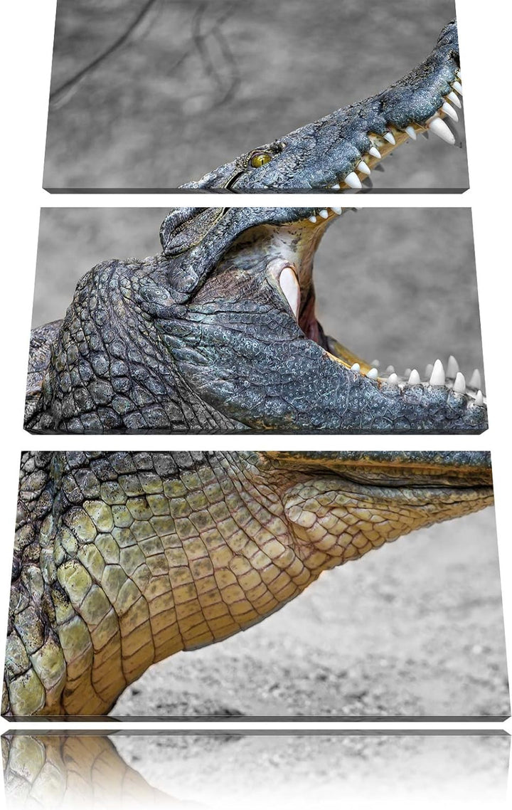 Pixxprint Krokodil mit aufgerissenen Maul als Leinwandbild/Grösse: 3 Teilig (120x80) cm/Wandbild/Kun