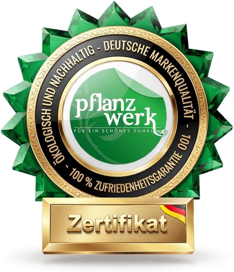 Pflanzwerk® Pflanzkübel Anthrazit Kunststoff 34x40x40cm *Frostbeständig* *100% ÖKOLOGISCH* *2 Jahre