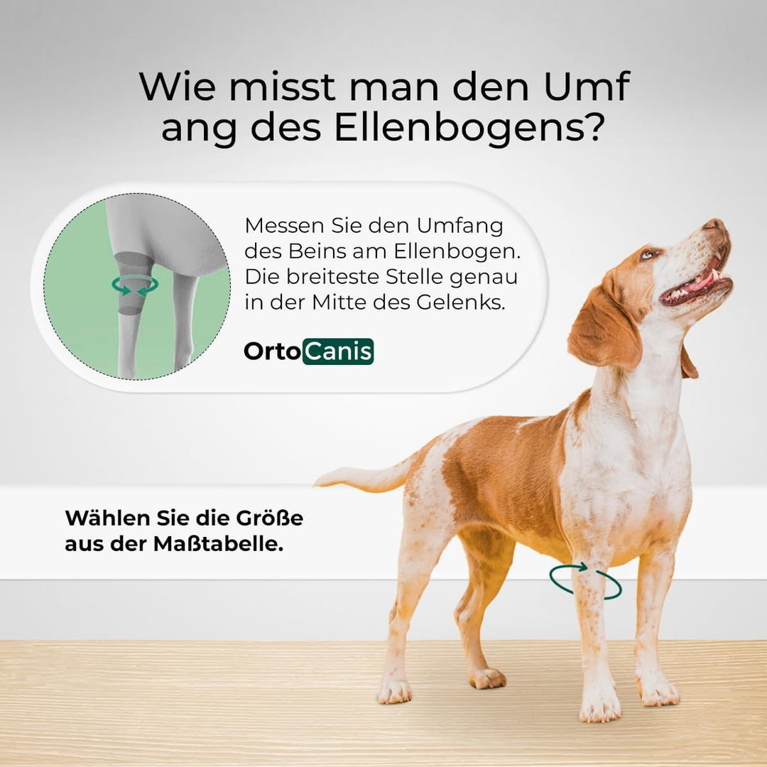 Ortocanis - Ellenbogenbandage für Hunde - Ellenbogenschoner für Linkes - Bei Arthrose im Ellbogen -
