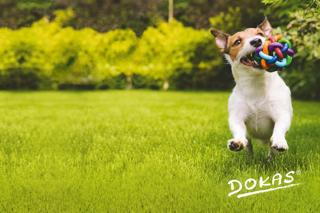 Dokas Dog Snack 1 m Kaurolle aus Rinderhaut mit Huhn - 8 x 315g