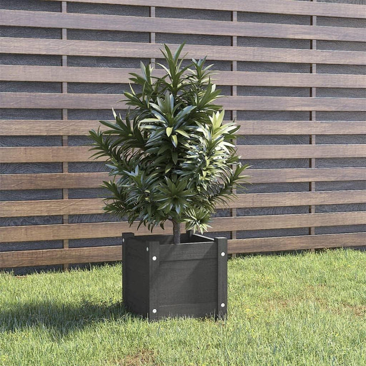 homiuse Hochbeet Pflanzkübel Grau 31x31x31 cm Massivholz Kiefer Grau Blumentopf Gross PflanzküBel Gr