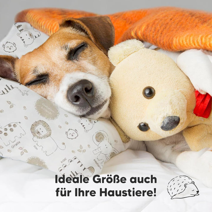 Kopfkissen Kleinkind mit Kissenbezug - Weich Bio Baumwolle Kissen Kinder zum Schlafen - Waschbar Kle