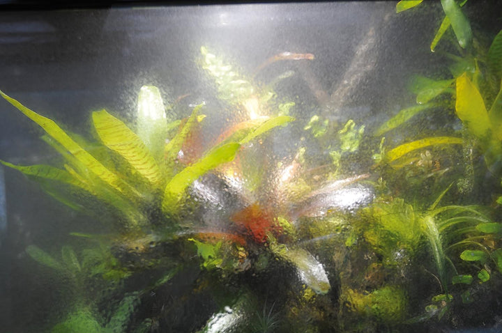 Lucky Reptile TF-1 Terra Fan Lüfterset für Terrarien, TF-1 Terra Fan