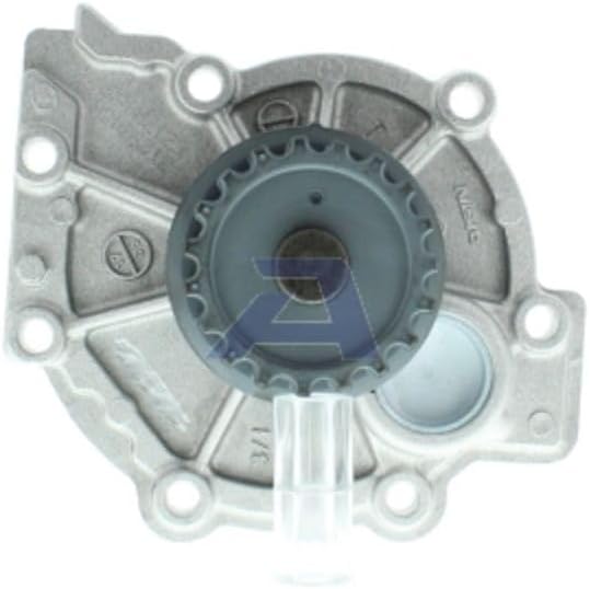 AISIN WV-009 Kühlung