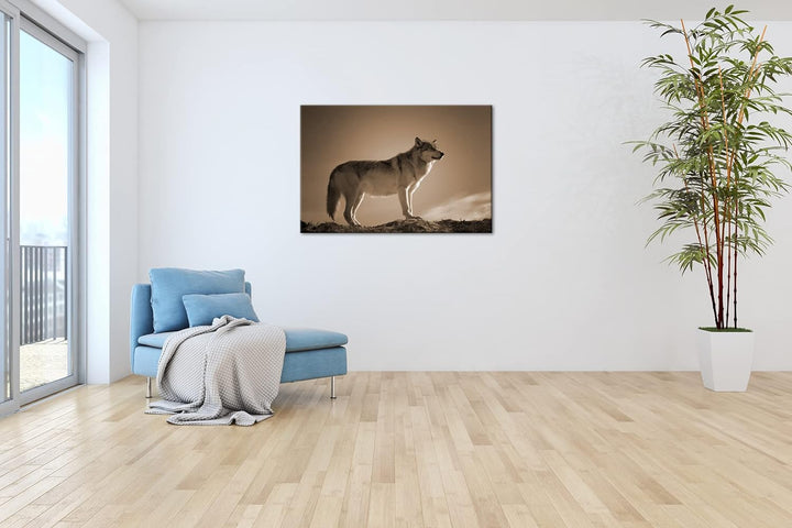 Der Wolf - das Raubtier des Waldes Format: 80x60 als Leinwand, Effekt: Sepia, Motiv fertig gerahmt a