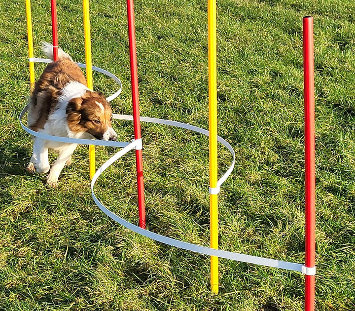 Wuzzmann Agility - Slalom - AUSBILDUNGSSET MIT 4 SLALOMBÖGEN/TRAININGSBÖGEN + 6 SLALOMSTANGEN ROT/GE