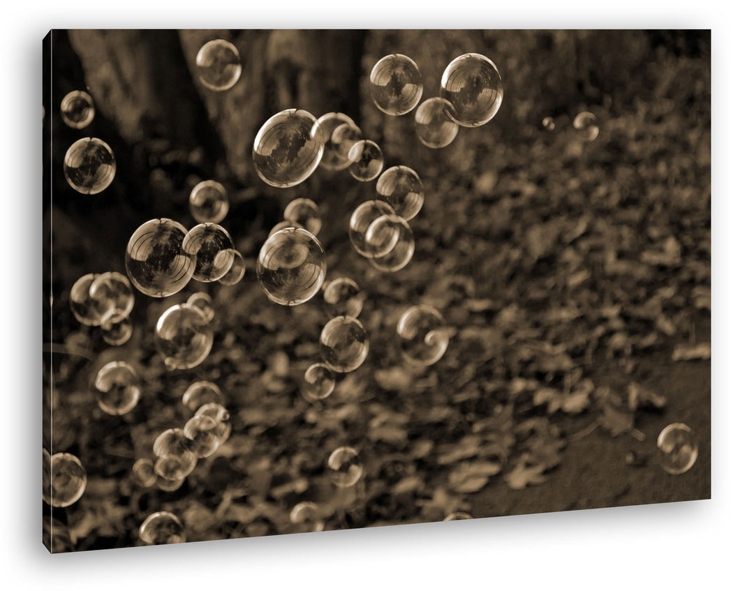 deyoli schöne Seifenblasen im Wald Format: 80x60 Effekt: Sepia als Leinwandbild, Motiv fertig gerahm