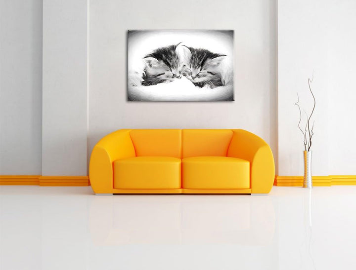 Katzenbabys Kohle Effekt, Format: 100x70 auf Leinwand, XXL riesige Bilder fertig gerahmt mit Keilrah
