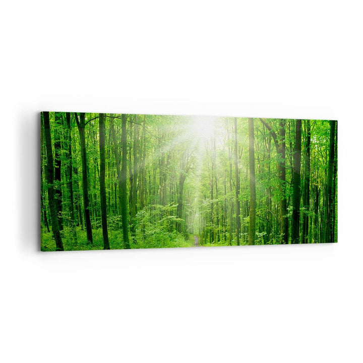 Wandbilder Dekoration Wohnzimmer Sonnenstrahlen Wald Sommer Panorama Bilder auf Leinwand 120x50cm Le